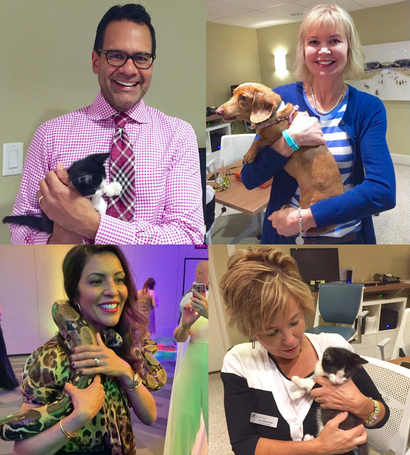 Calgary Humane Society Cocktails for Critters Preventous Support Calgary Animal Shelter